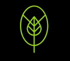 Green outline of a leaf inside an oval icon on a black background.